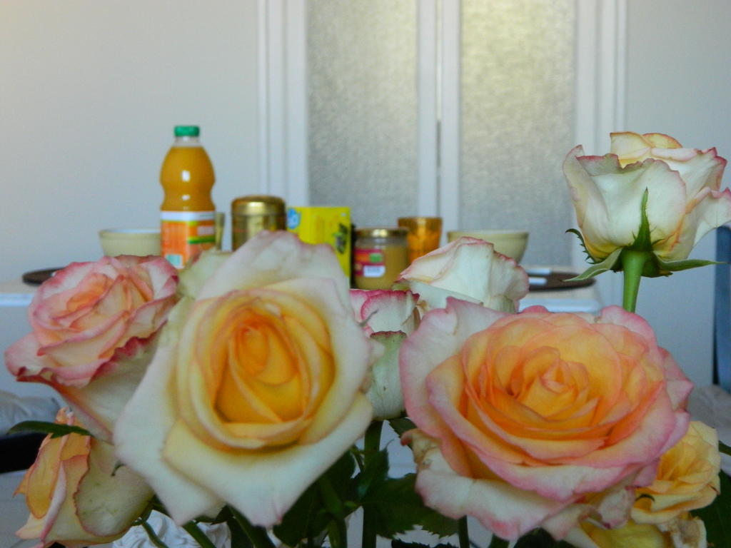 Chambre D'Hote Zen Chez Philippe Μασσαλία Δωμάτιο φωτογραφία
