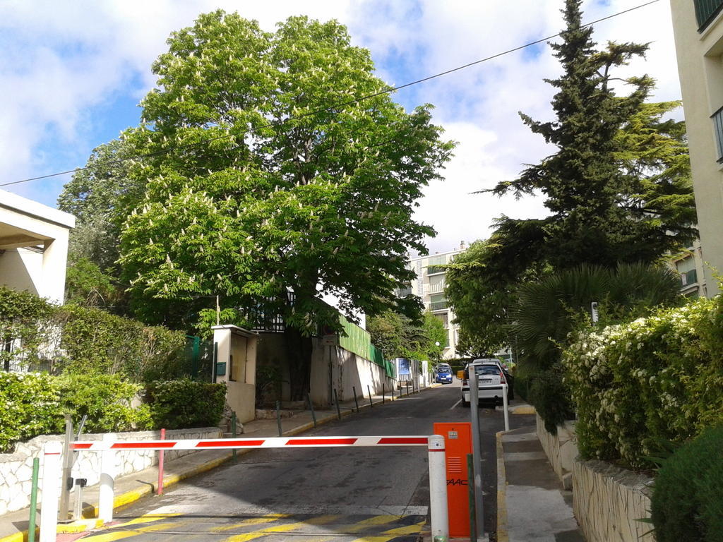 Chambre D'Hote Zen Chez Philippe Μασσαλία Εξωτερικό φωτογραφία